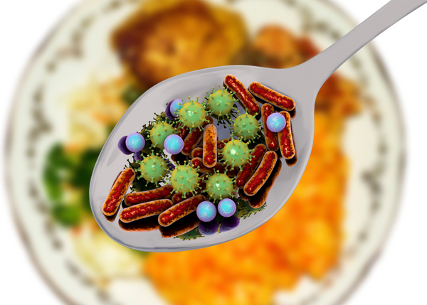 Was sind effektive Mikroorganismen? 