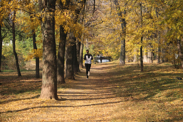 5 Wege, um im Herbst gesund und aktiv zu bleiben