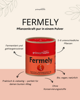 Fermely - Rot