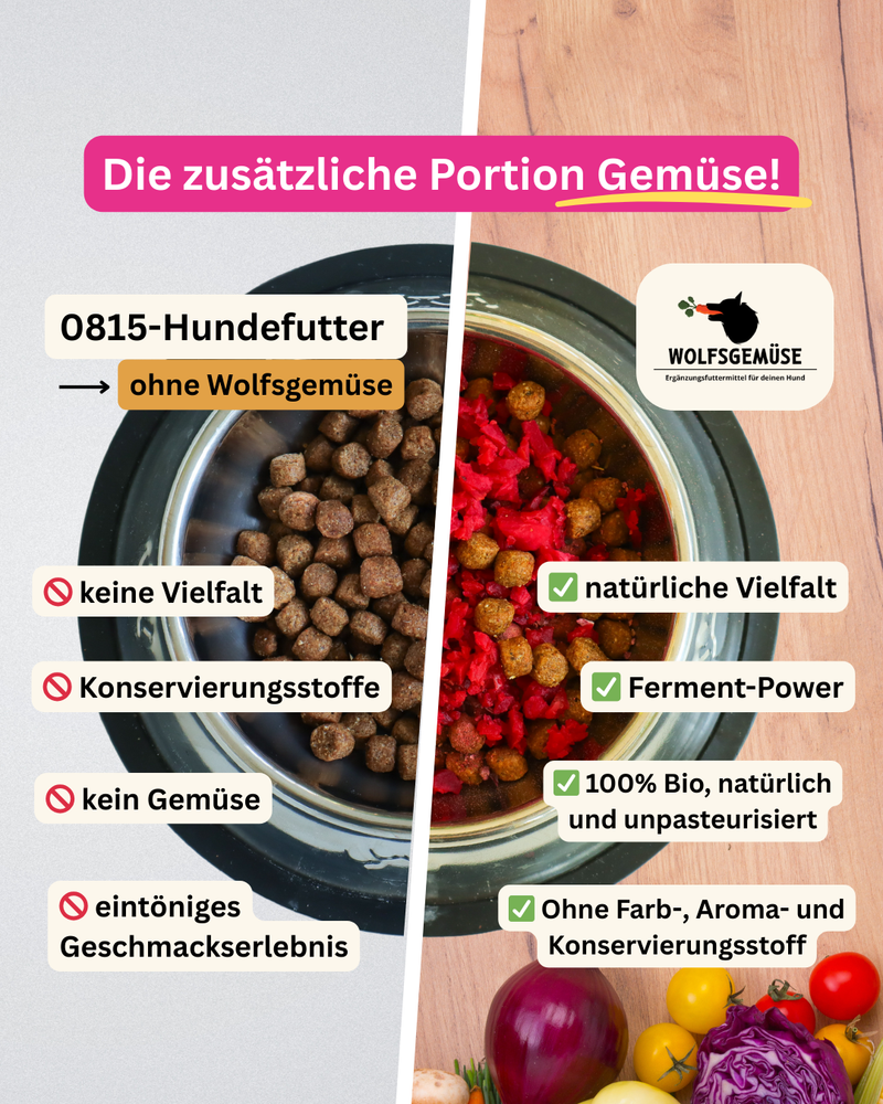 Wolfsgemüse Fermentiertes Bio-Gemüse (frisch)