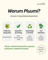 Pluumi